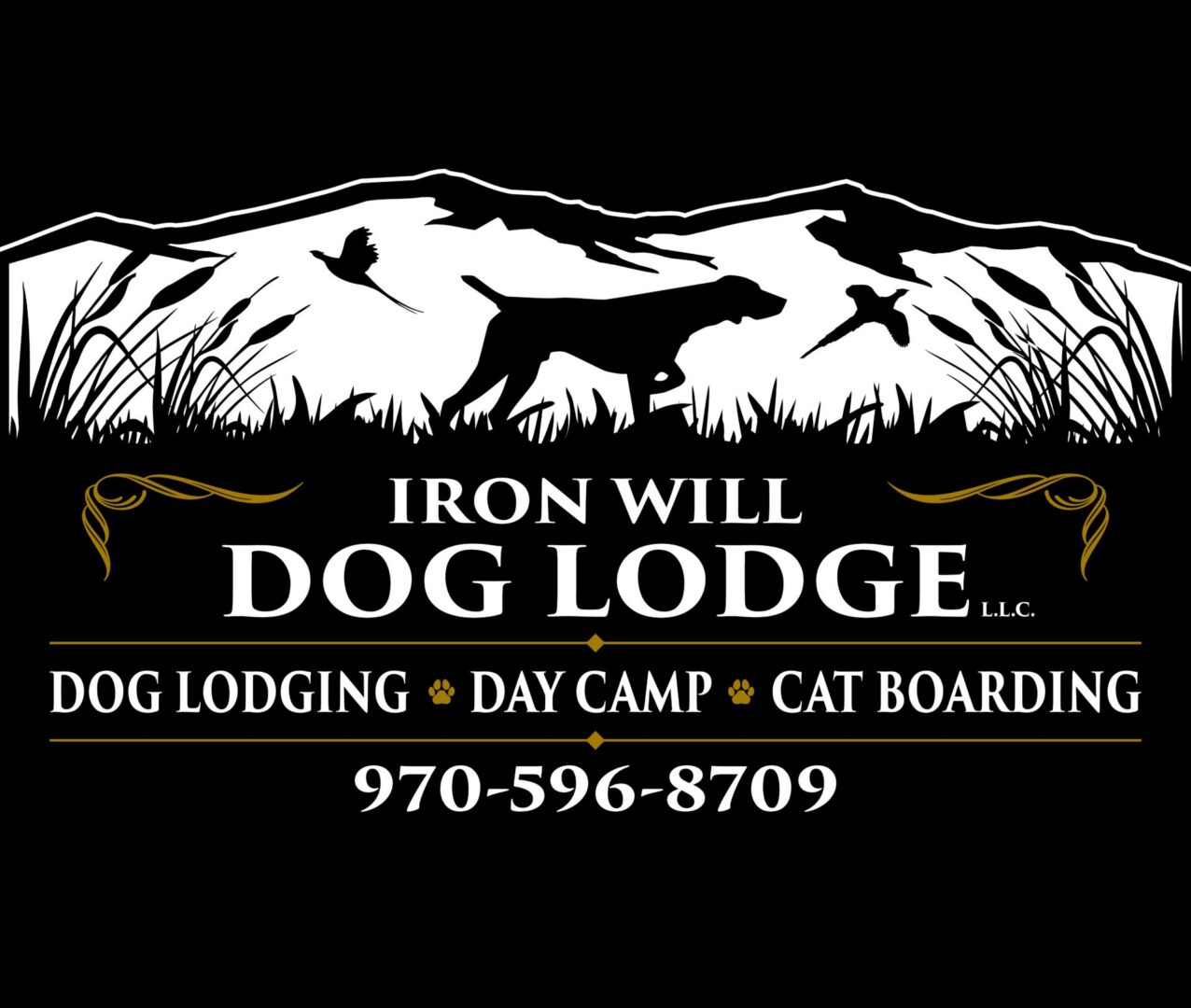 iwdl logo