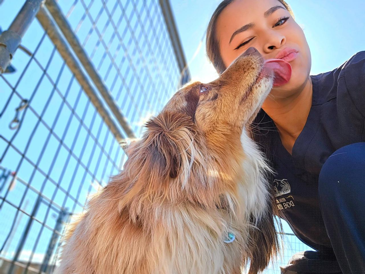 A woman and her dog kissing each other.