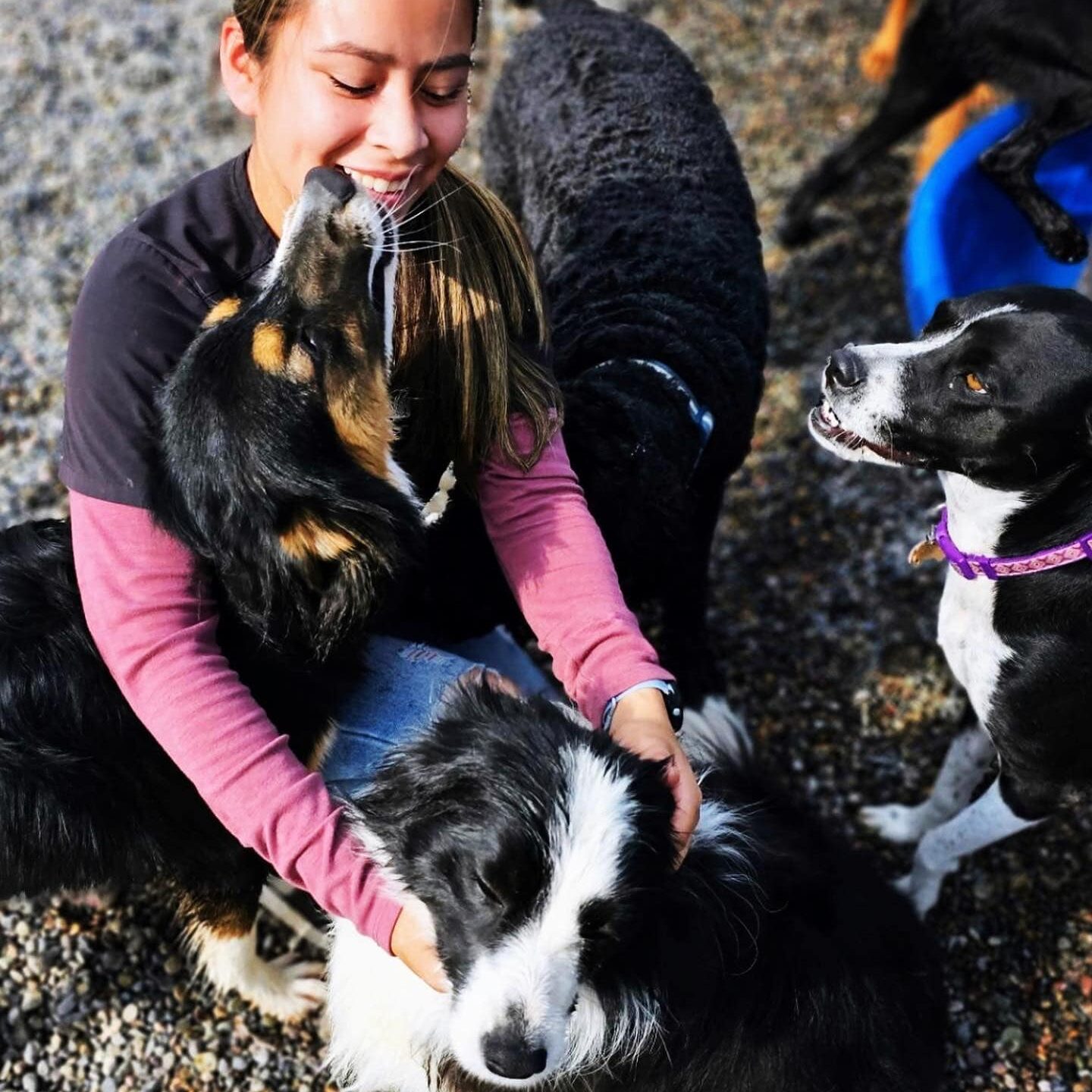 A woman is petting two dogs on the ground.